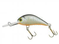 Hard bait Gloog Parys 40NF - NP1