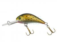 Hard bait Gloog Parys 40NF - STS