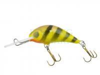 Hard bait Gloog Parys 40NF - W