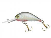 Hard bait Gloog Parys 50NF - NP