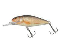 Wobler Salmo Perch PH8DR - Real Roach