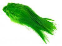 Pióra FutureFly Rooster Saddle Feather - Green Highlander