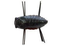 Soft Bait Qu-on Musiiiin 1.25In | 31.75mm - BS