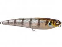 Lure Spro Ikiru Surf Dawq 115F | 11.5cm 24g - Buzzer