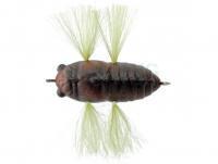 Lure Tiemco Soft Shell Tiny Cicada 35mm 2g - 201 Bootin