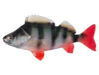 Przynęty miękkie Fox Rage Ultra Natural Fillets 8cm - Perch