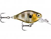 Hard Lure Rapala X-Light Crank Mid Runner 3.5cm - Glassy Gill UV