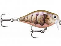 Hard Lure Rapala X-Light Crank Shallow Runner 3.5cm - Purple Prawn UV