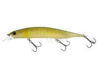 Wobler DUO Realis Jerkbait 120SP - DST3070 Dead Ayu