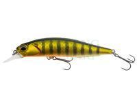 Realis Rozante 77SP - ASA3146 Gold Perch