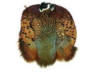 Ringneck Pheasant Skin - Natural, Cock