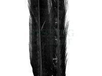 Ringneck Tail Feathers - 100 Black