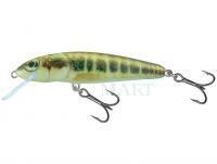 Wobler Salmo Minnow M6S 6cm - Minnow