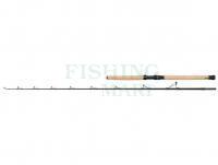 Rod Savage Gear Fury SG6 Boat 2.13m 100-250g