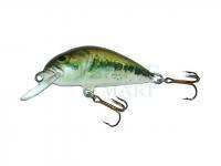 Lure Dorado Scout ST-4 Floating BS