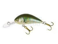 Lure Kenart Shark 4cm GG