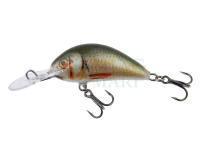 Lure Kenart Shark 4cm NRG