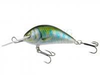 Lure Kenart Shark 5cm GG