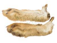 Wapsi Hares Feet 2pcs - Natural White