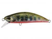 Lure DUO Spearhead Ryuki 60S Awabi - DDH4038 Yamame RB AM