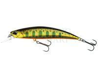 Hard Lure Duo Spearhead Ryuki 80S - MCC4084 Gold Yamame