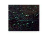 Starlite Dubbing - Dark Green