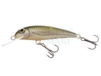 Lure Wob-Art Strzebla (Common minnow) 6cm 4g MF DR - 03