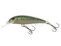 Lure Wob-Art Strzebla (Common minnow) 6cm 4g MF DR - 21