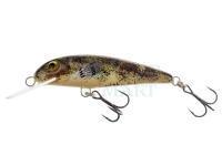 Lure Wob-Art Strzebla (Common minnow) 6cm 4g MF DR - 39