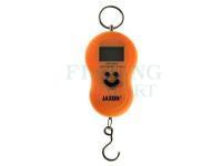 Electronic fishing scale 50kg WAM014