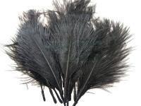 Wapsi Ostrich Marabou - Black