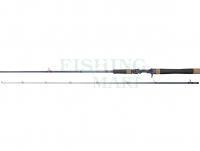 Wędka castingowa Dragon G.P. Concept Twitch Cast 42MH 1.90m 18-42g