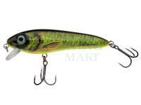 Hard Lure Abu Garcia Svartzonker McCelly 140mm 64g - Real Hot Pike