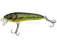 Hard Lure Abu Garcia Svartzonker McCelly 70mm 9g - Real Hot Pike