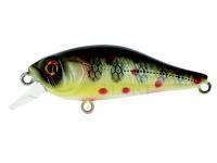 Hard Lure Adam's Shad 40 S | 40mm 3.30g - Truitelle