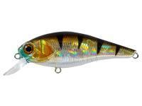 Hard Lure Adam's Shiner 62 SP SR | 62mm 7.4g - European Perch