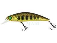 Wobler Adam's Zero Arise Minnow 60mm 6.1g - Gold Amago