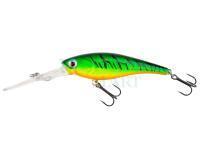 Hard Lure Akara Rich 60F | 6cm 7g - A68