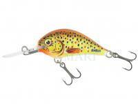 Lure Dorado Blagier 3.5F TR