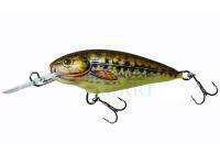 Dorado Invader I-4 Floating NB