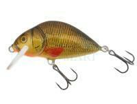 Lure Dorado Lake L-5 Floating BRXX