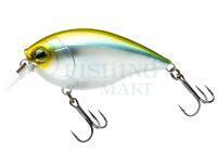 Hard Lure Duel Hardcore Crank SR 65F | 65mm 14g - R1363-GSPS