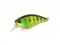 Wobler Duo Realis Crank Mid Roller 40F | 40mm 5.3g | 1-3/8in 3/16oz - AJA3055 Chart Gill Halo