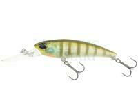 Wobler DUO Realis Shad 62DR - CCC3158