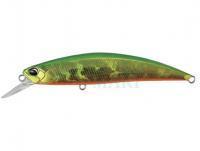 Hard Lure Duo Spearhead Ryuki 80S - ADA4059 Green Gold OB