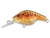 FishTank OMEGA 3.7 cm gold & red