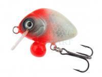 Lure HMG Lures Droop Killer 30mm | 5g - 0230510