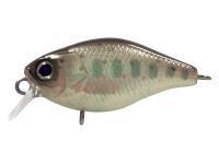 Hard Lure Illex Chubby 38 mm 4g - Truitelle