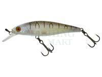 Hard Lure Illex Squad Minnow 65 SP - Tiger Bone