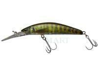 Hard Lure Illex Tricoroll GT 72 DR-F 72mm 8g - RT Spawning Vairon